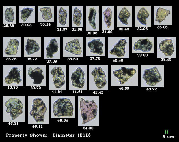 FlowCam: Particle Analysis for Materials Characterization