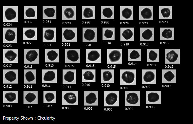 FlowCam for the Characterization of Abrasive Compounds