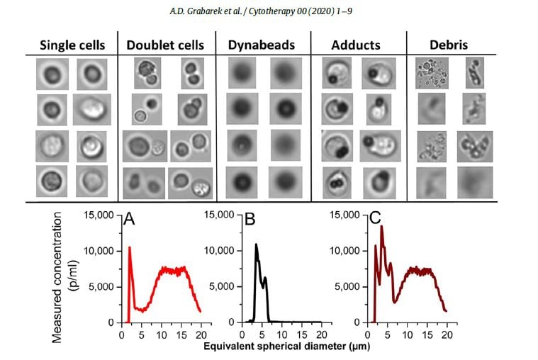 Flow Imaging Microscopy (FIM) Coupled with Convolutional Neural Networks (CNN) Demonstrates Reliable Method to Characterize and Identify Impurities in Cell Based Medicinal Products (CBMPs)