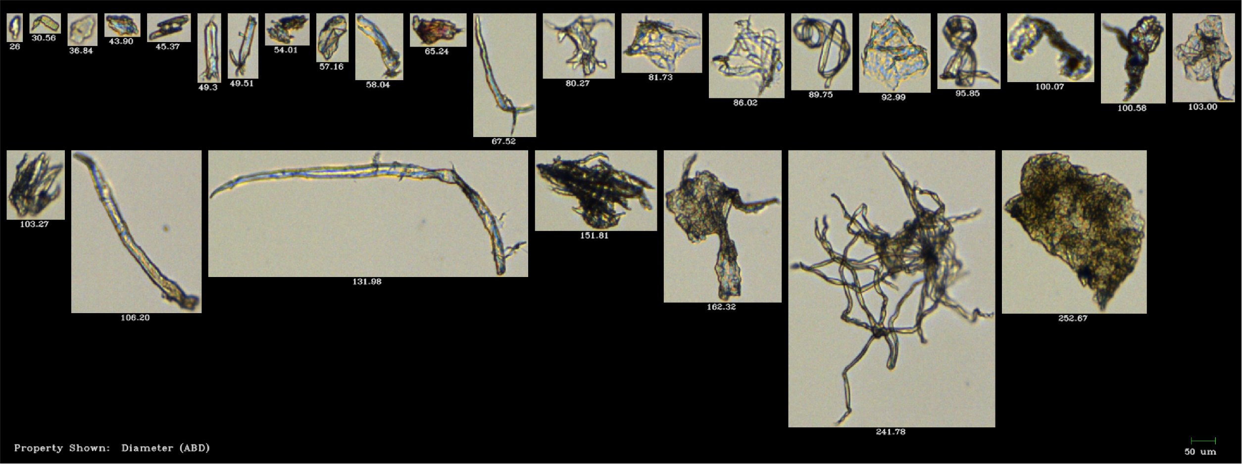Microplastics in Our Oceans: How To Study Microscopic Pollutants?