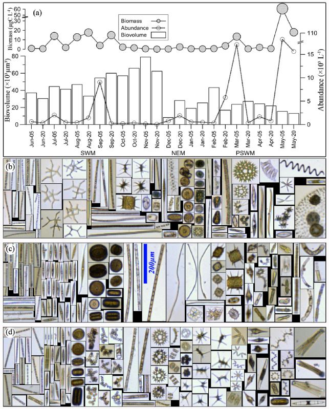 FlowCam Shows Effects of Monsoon Flooding on Microplankton Communities