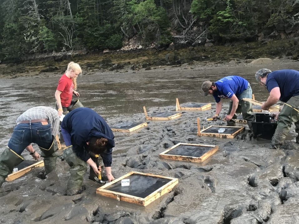 Announcing our 2023 FlowCam Aquatic Grant Program