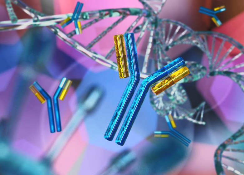 Rendering of antibodies and DNA