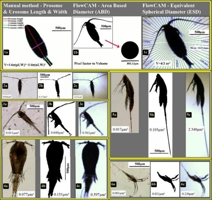 FlowCam's Area Based Diameter and Copepod Biovolume