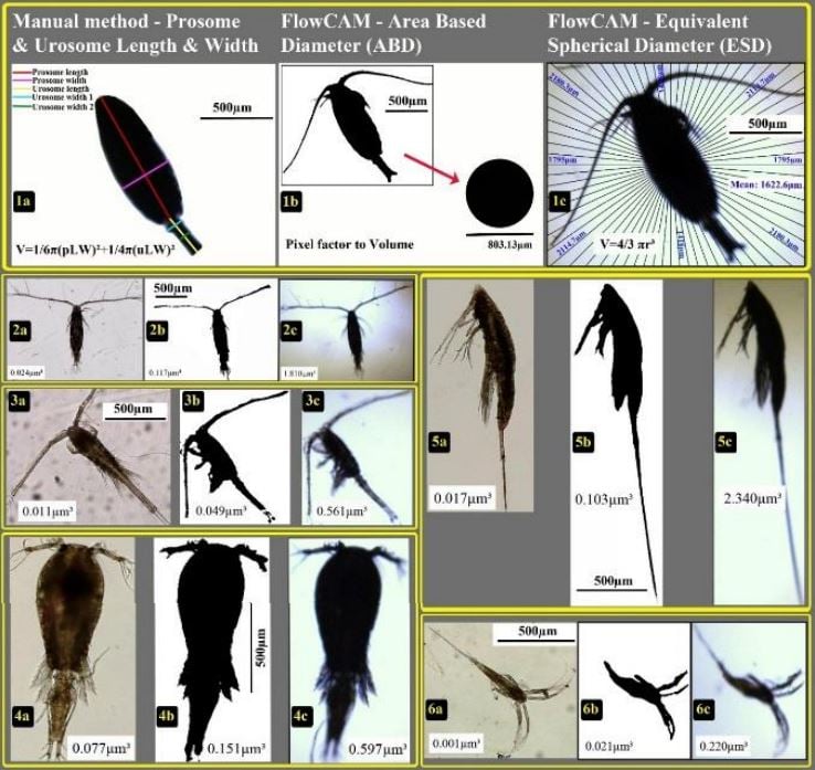 FlowCam's Area Based Diameter (ABD) is More Accurate than Manual Microscopy When Measuring the Biovolume of Copepods