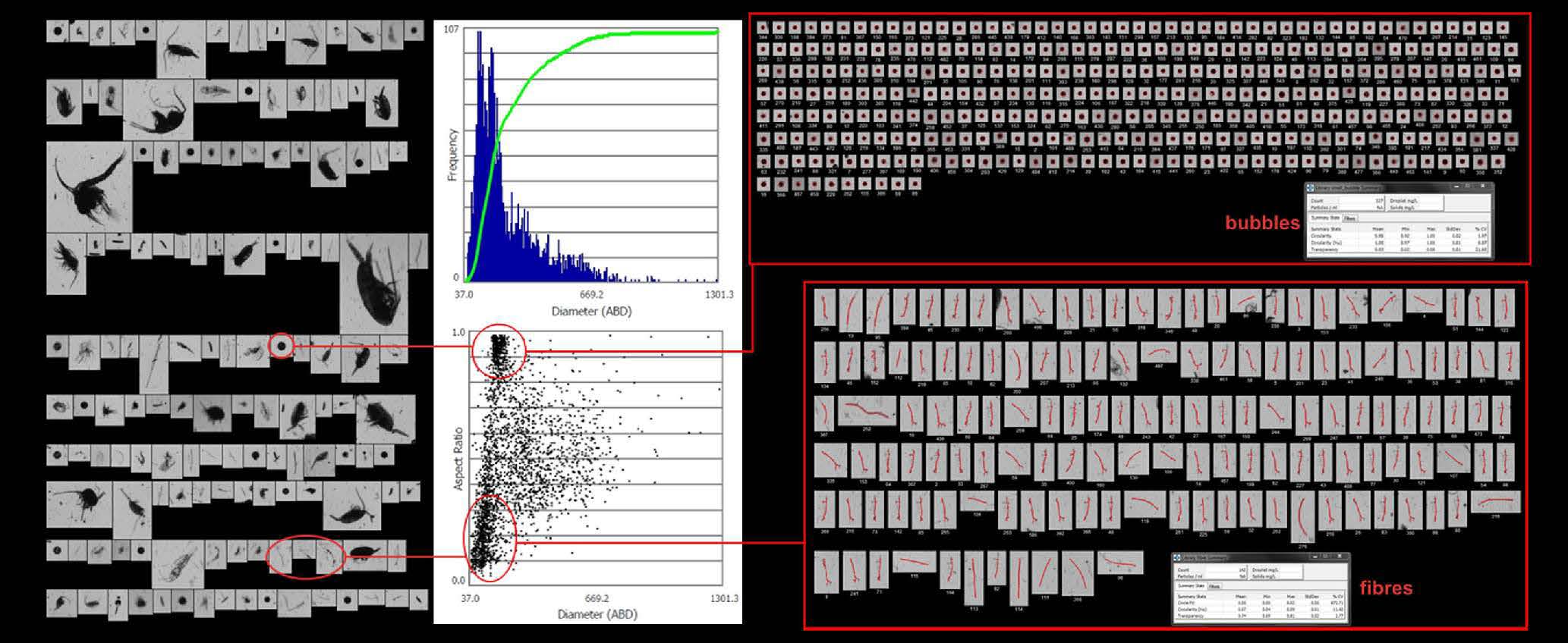 FlowCam Macro Integrated With SAHFOS Continuous Plankton Recorder