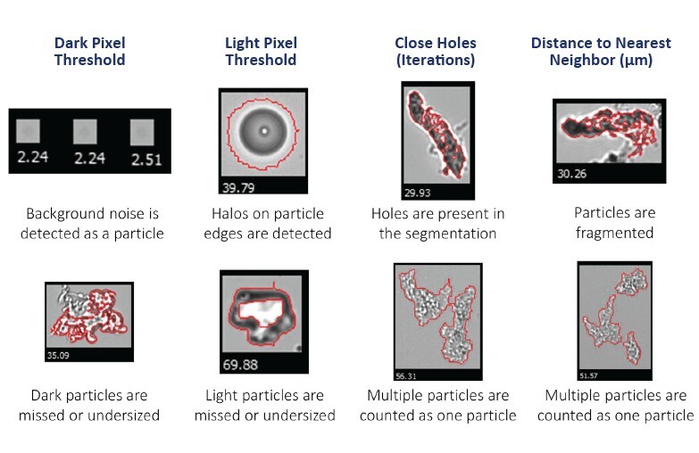 Particles showing effects of different FlowCam capture settings
