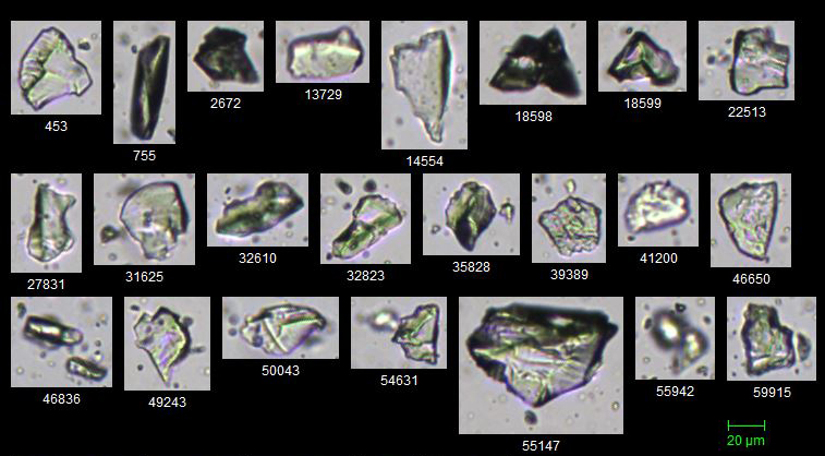 A FlowCam 5000 collage of silica mineral particles captured at 10X resolution