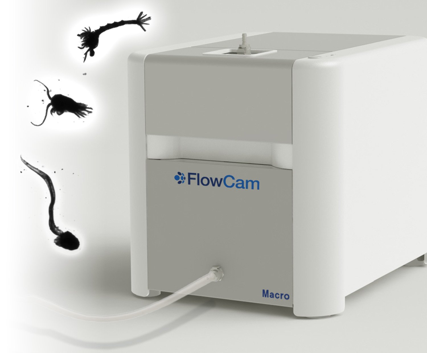 Zooplankton Analysis with FlowCam Macro