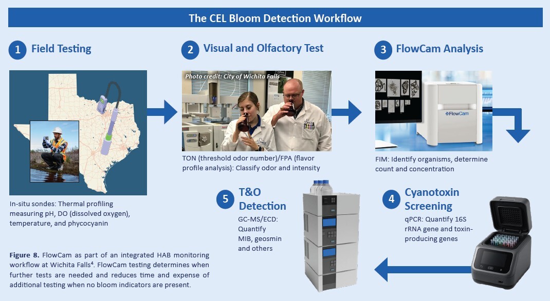 HAB detection workflow