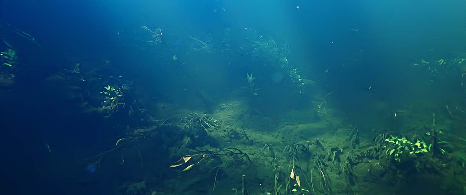 Stock photo of ocean floor