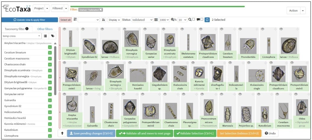EcoTaxa project with FlowCam images