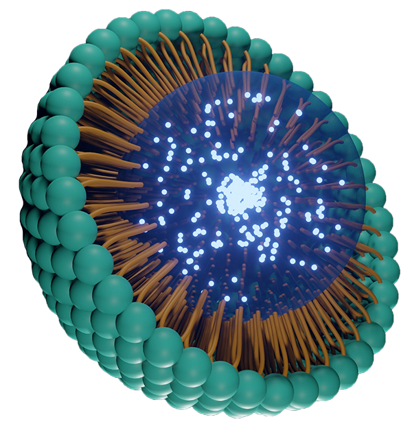 Stock illustration of lipid nanoparticle