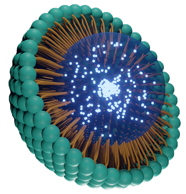 Stock illustration of lipid nanoparticle