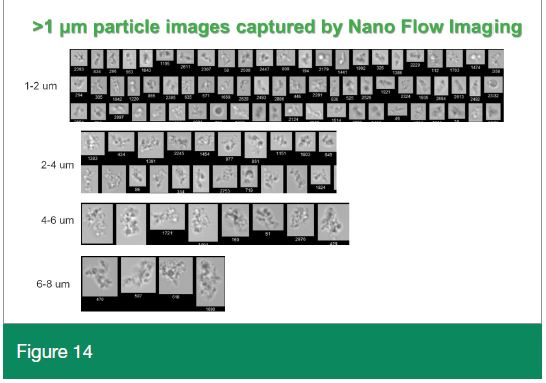 FlowCam images from article - The Next Frontier in Subvisible Particle Analysis: New Tools and Opportunities