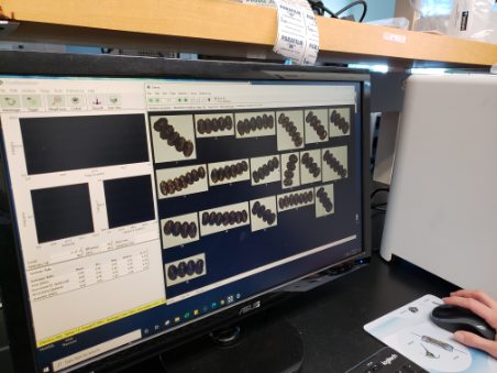 VIMS Uses FlowCam to Study HABs to Fulfill their Research Equipment Grant for Graduate Students