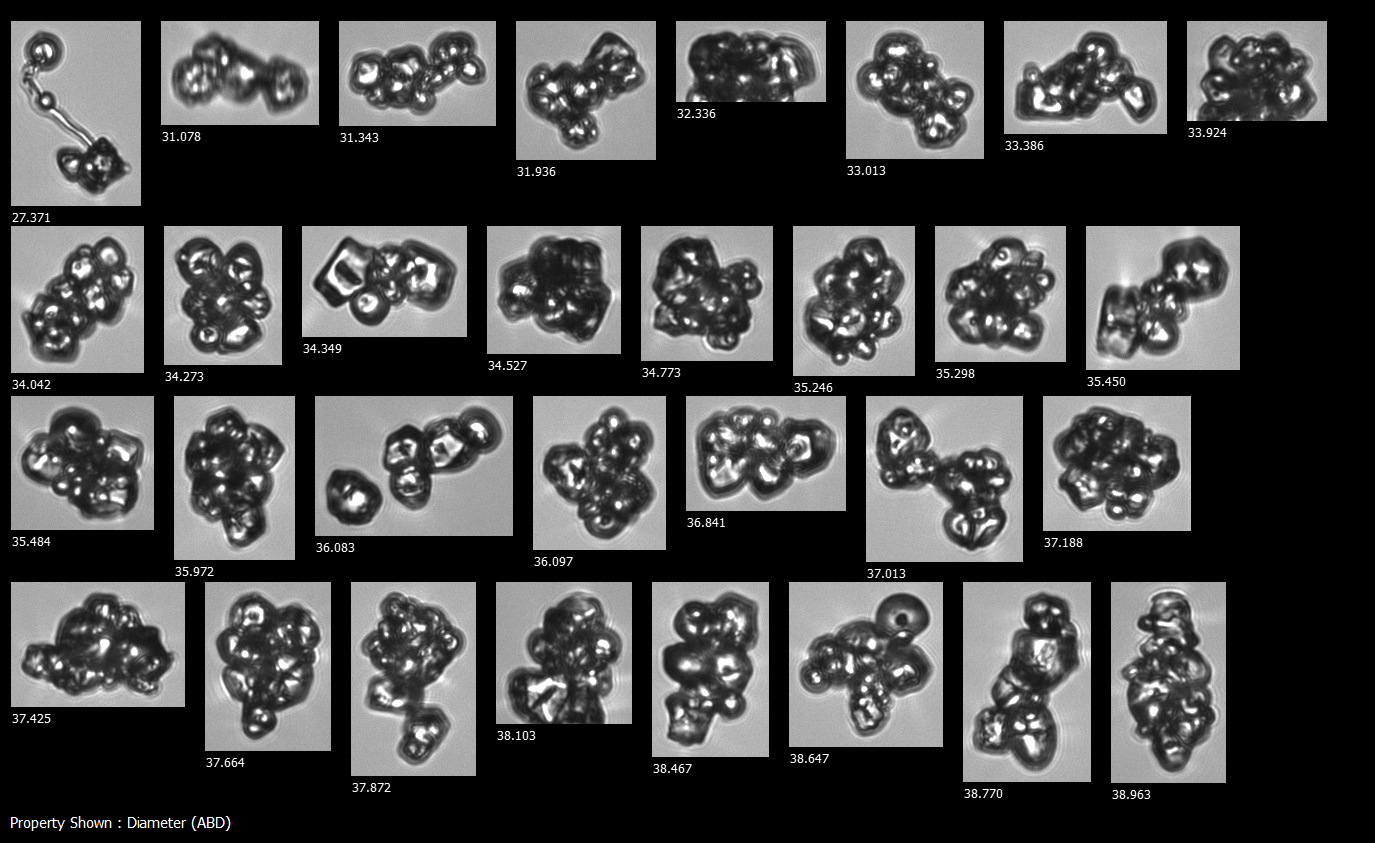 FlowCam collage of corn starch aggregates