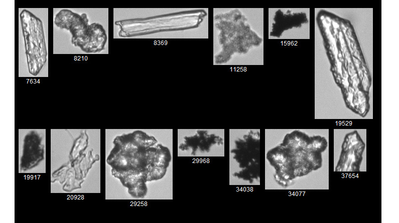 FlowCam collage of particles in completion fluid