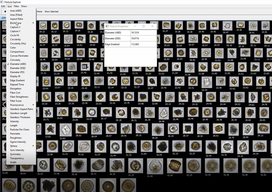VisualSpreadsheet user interface showing particle collage