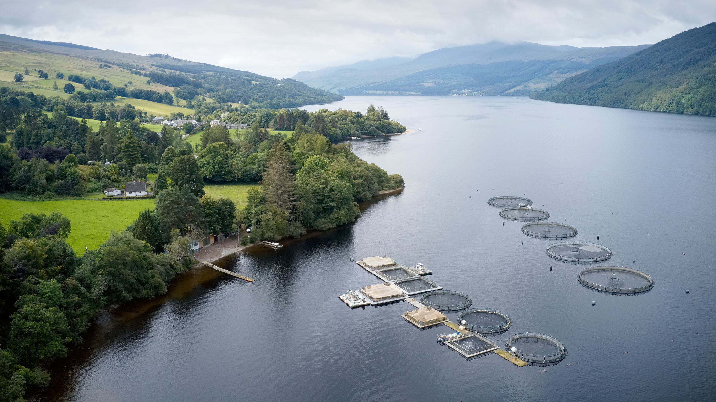 Aerial stock photo of salmon aquaculture pens in Scotland