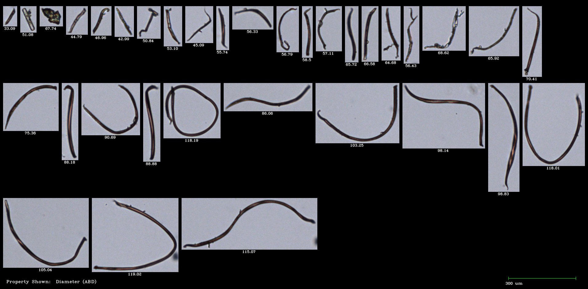 FlowCam collage of microplastic fibers