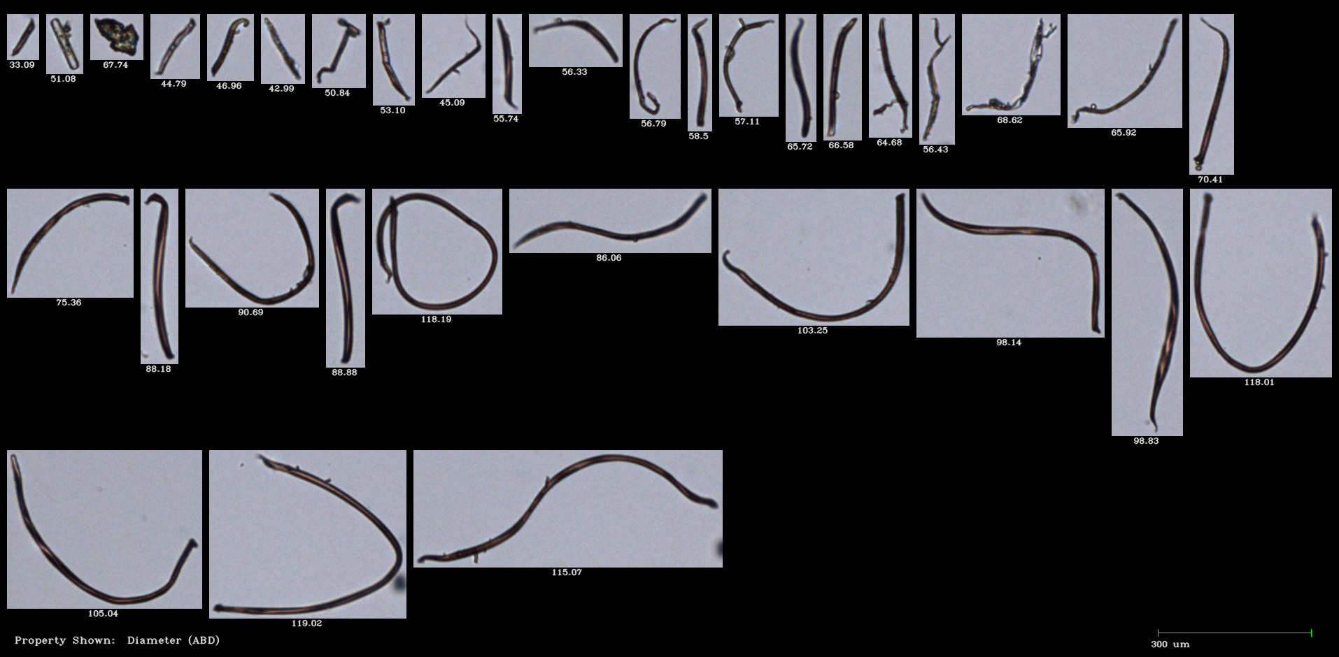 FlowCam collage of microplastic fibers