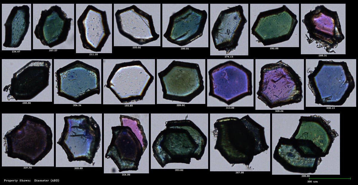 How to Use FlowCam for Microplastics Research