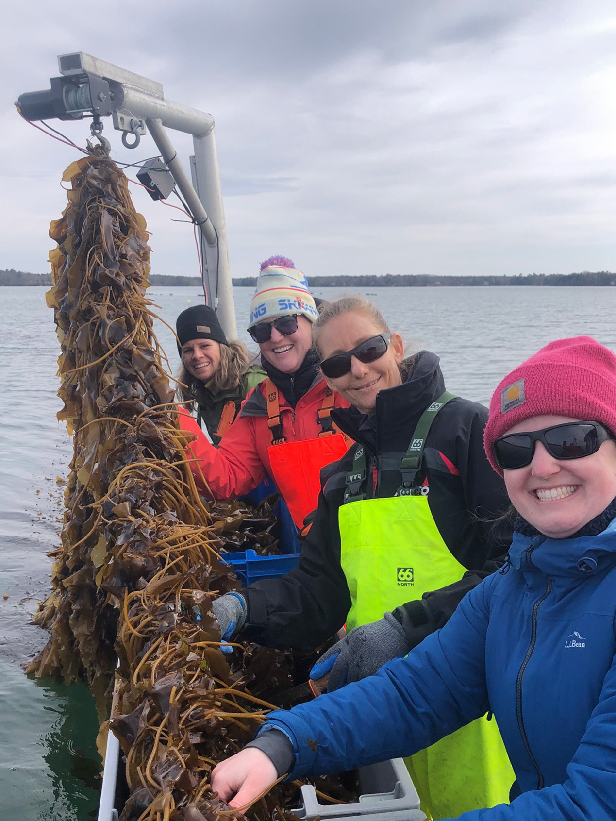 A Kelp Farm Tour with Spartan Sea Farms Provides Insight into Relationship Between Micro- and Macroalgae