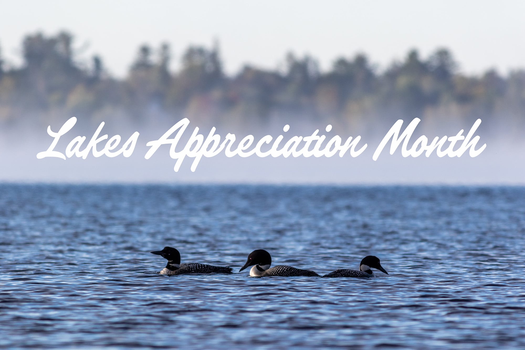 FlowCam Team Celebrates Maine Lakes & Water Quality Organizations