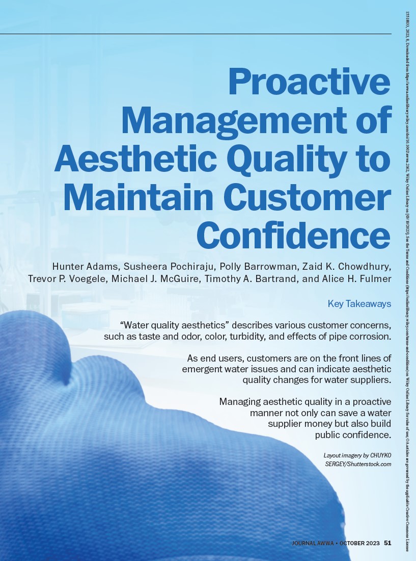 Thumbnail - Proactive Management of Aesthetic Quality to Maintain Customer Confidence