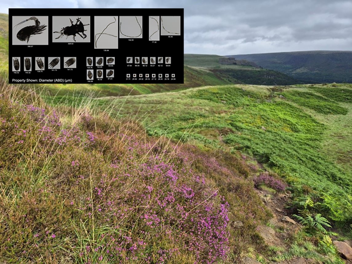 Hiker’s Guide to the Planktoverse—FlowCam's Microbial Biology Insights